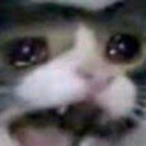 Meet your Posher, Mandala